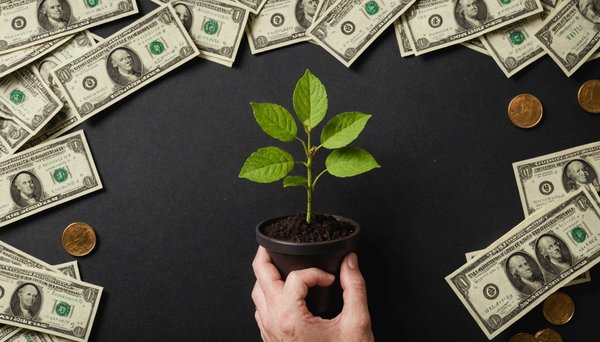 Développez votre richesse : guide pour monétiser votre patrimoine